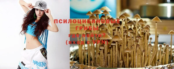 стафф Абинск