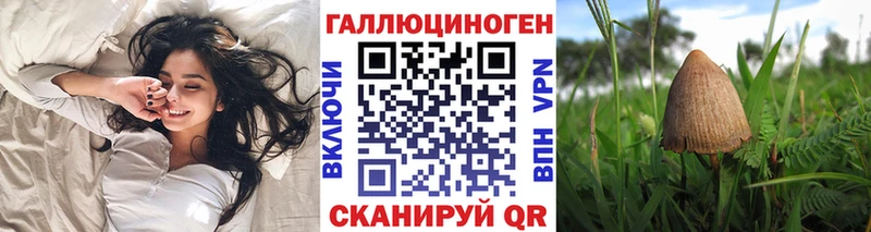 Псилоцибиновые грибы MAGIC MUSHROOMS Алагир